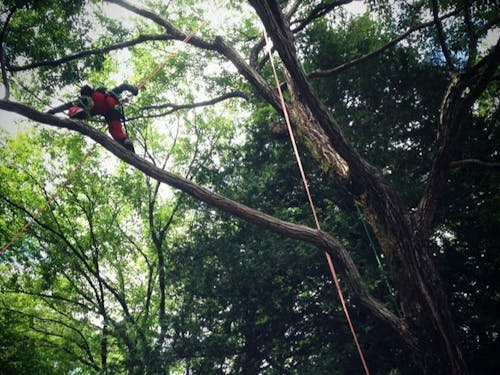 森林整備・里山整備の現場見学