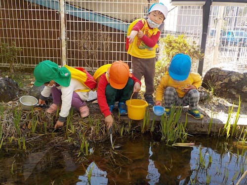 春は生き物や植物があふれています