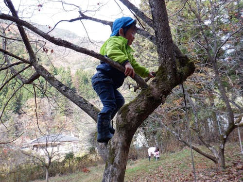 落ち葉が色づくころは虫も少なくなり木登りや山散策が楽しめます