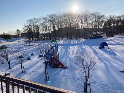 冬晴れの気持ち良い日の写真です。澄んだ空気と冬の静けさが大好きです。