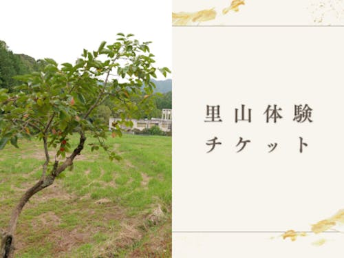 里山を体験できるチケットも!(寄付金額 10,000 円 以上)