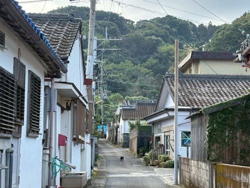 活動場所となる南大隅町の町並み
