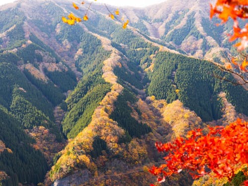 紅葉シーズンのナメゴ谷