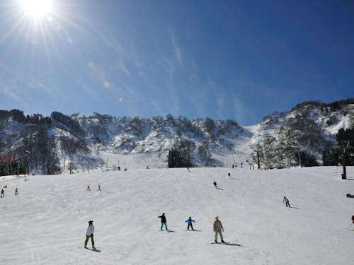 冬はもちろん近場でスキー・スノボ