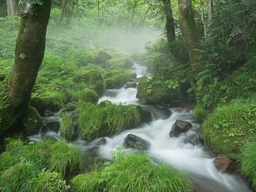 CMの影響もあり、観光客で溢れる木谷沢渓流