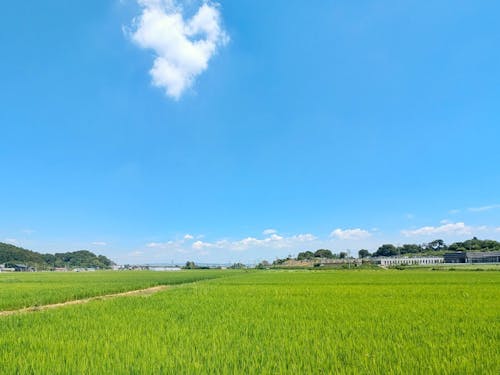 空を大きく感じることができる