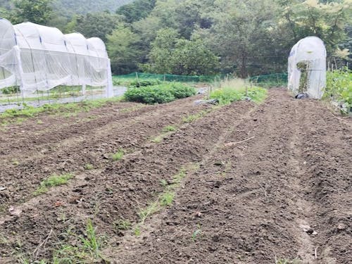 山に囲まれた自然を感じる畑で学びます。