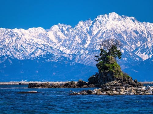冠雪した冬の立山連峰の景色。実際にその場で目にしなければ味わえない感動があります
