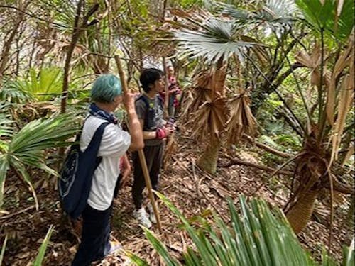 【課題解決①】登山道の情報収集