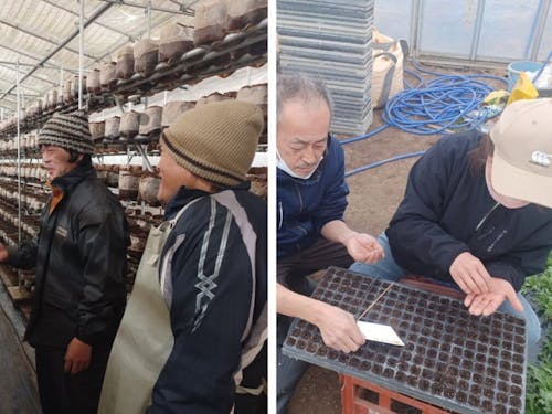 左側：きのこ農家さん（冬期も収穫可） 右側：ご夫婦で種まき体験をしている様子