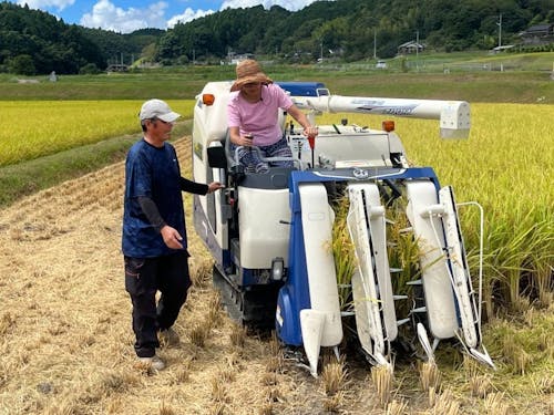 コンバインに乗って収穫体験