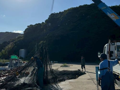 第一次産業の現場で働く大人の島留学生