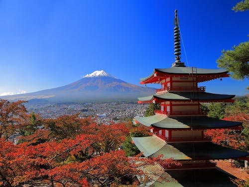 広大な自然に囲まれて、唯一無二のキャリアへの挑戦