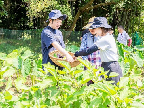 収穫した野菜を調理して食べる。これこそ贅沢! ※写真は夏のツアーの様子