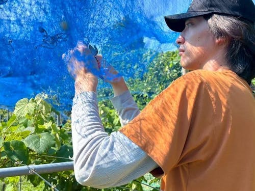 第一次産業の現場で働く大人の島留学生