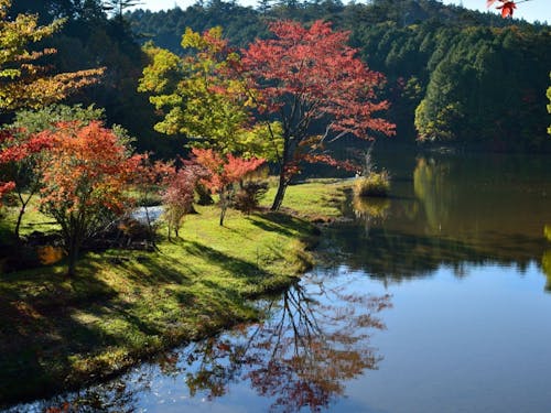 設楽町 きららの森