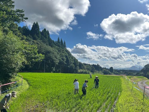 ゲストの暮らす伊佐市の風景