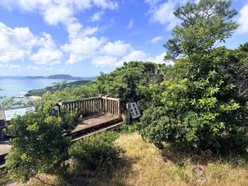 【課題解決①】高月山展望台の清掃＆枝切り作業