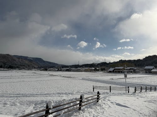 12月4日。雪が降ると風景が一変!もっと降ると雪かきが必要になってきます☺️