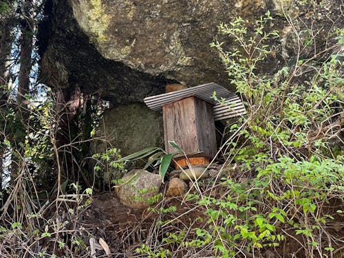 山中に据えられた巣箱