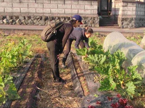 いきなり決めなくてOK。農業の仕事の話を聞いてみませんか。