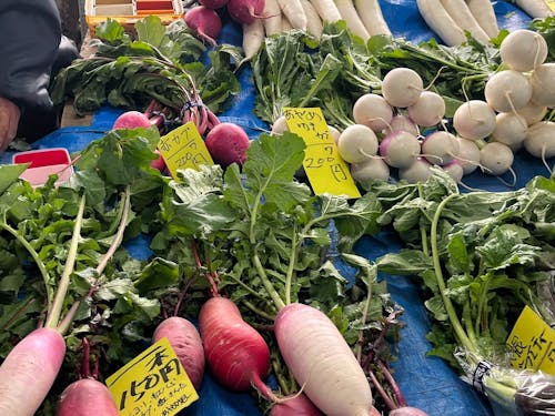 レンバイで旬の野菜を見つける