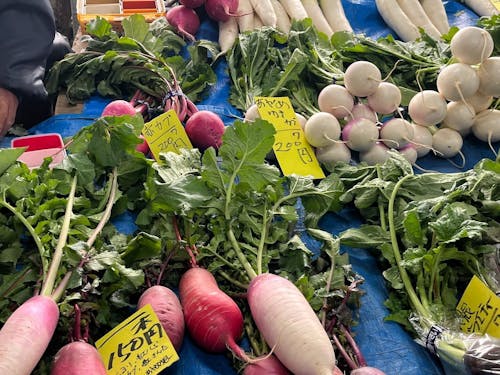 レンバイで旬の野菜を見つける