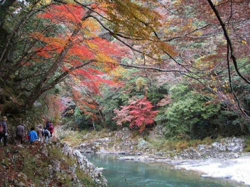 川上地域の長門峡。特に紅葉シーズンは絶景です！
