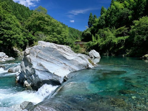 汗見川(一級河川)で川遊びができます。