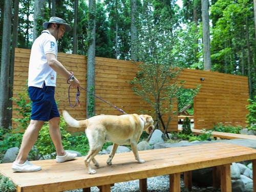 レストラン棟以外はわんちゃん同伴OK。コテージは全棟ドッグラン付き。