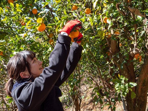 仕事の中に、自然と人との距離の近さがあります