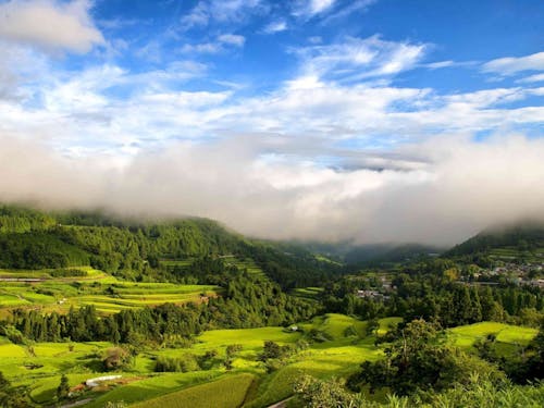 美しい棚田が広がります
