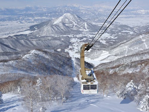 有数のスノーリゾートが近くに!