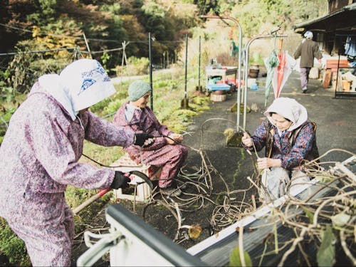 足は悪くても、仕事になるとすごい速さで作業をこなす元気な山の先輩たち