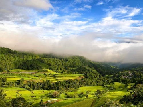 雲海と棚田