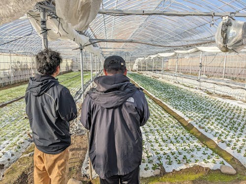 実際にハウス農家の話をきくとイメージしやすくなります