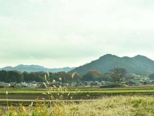 女飯盛木から多賀町の山がすべて見える。