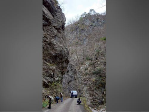 権現谷で化石探しに熱中