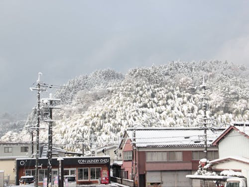 冬景色な智頭町。防寒対策必須です