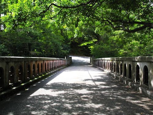 清流と石橋が織りなす渓谷美に包まれる「山中温泉の黒谷橋」