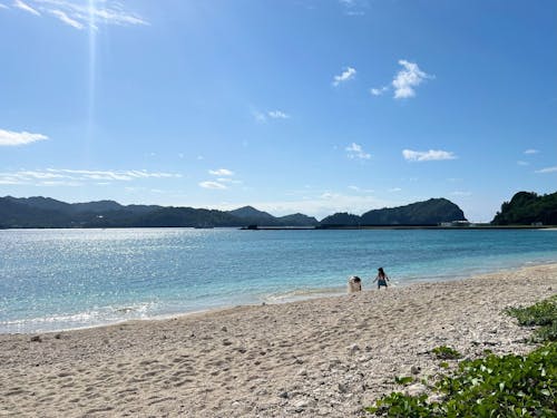 父島直売所の裏は公園と海岸。