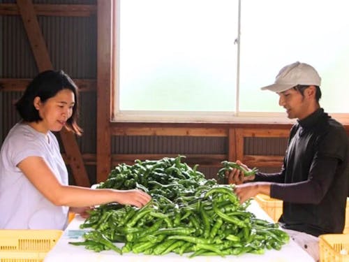 ご夫婦二人三脚で、農業をスタートされました