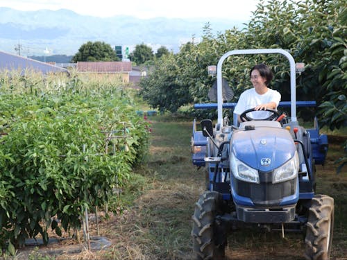 農業や仕事の体験の機会もご紹介!