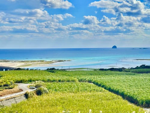 久米島の海とさとうきび畑