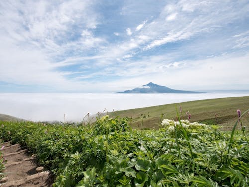礼文町の主要産業　観光業　トレッキングコースからの景色