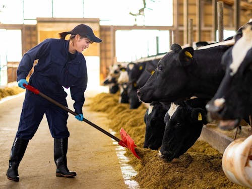 現場で汗を流す隊員のリアルな笑顔。この輝きを町全体に発信したい。