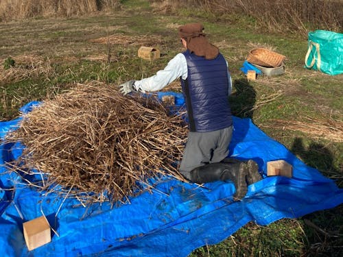 手刈りで貴重なそばをやさしく収穫