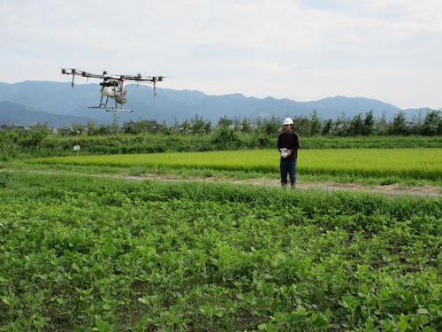 ドローンによる散布