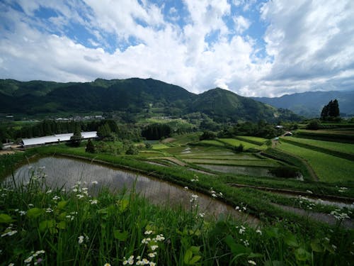 高千穂町の風景