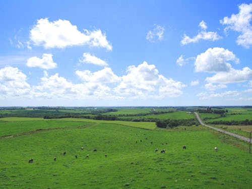 北海道スケールの大パノラマ。澄んだ空気が体中を満たす爽快感を味わえます。
